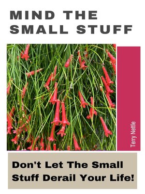 cover image of Mind the Small Stuff